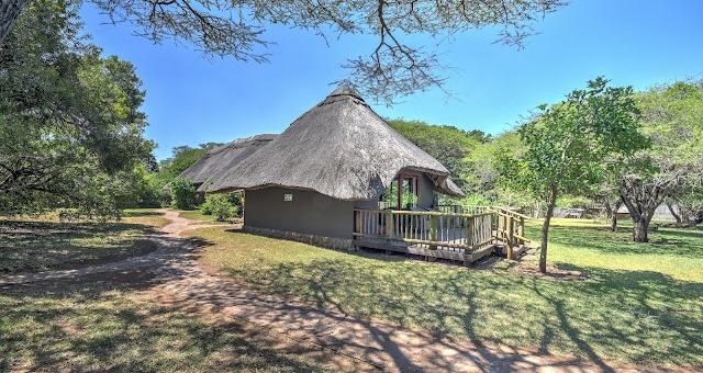 Autotour : Safari & Océan au départ de Durban
