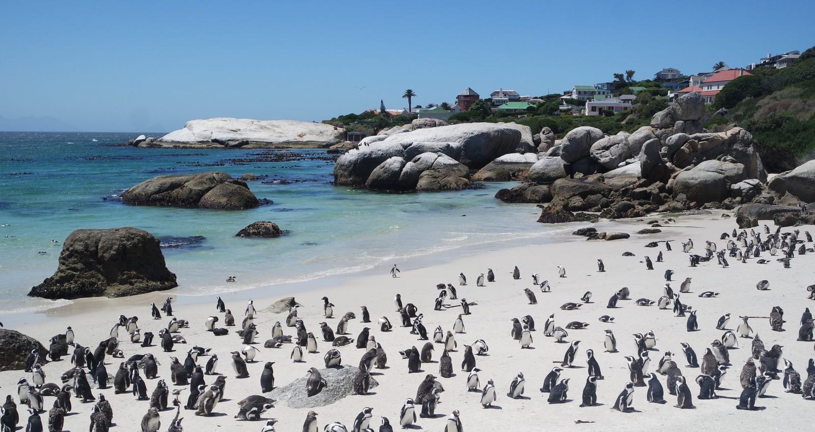 Vol St Denis Cape Town St Denis via Maurice