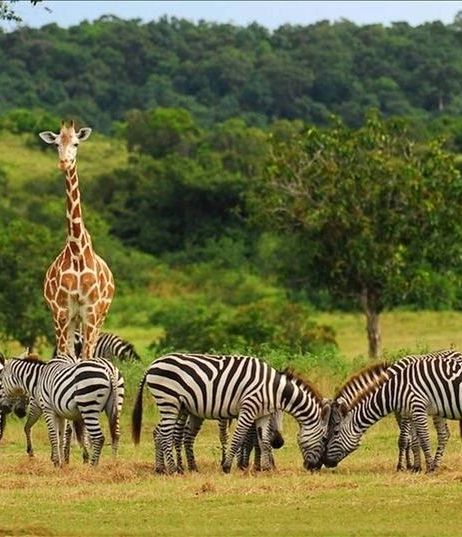 Botswana