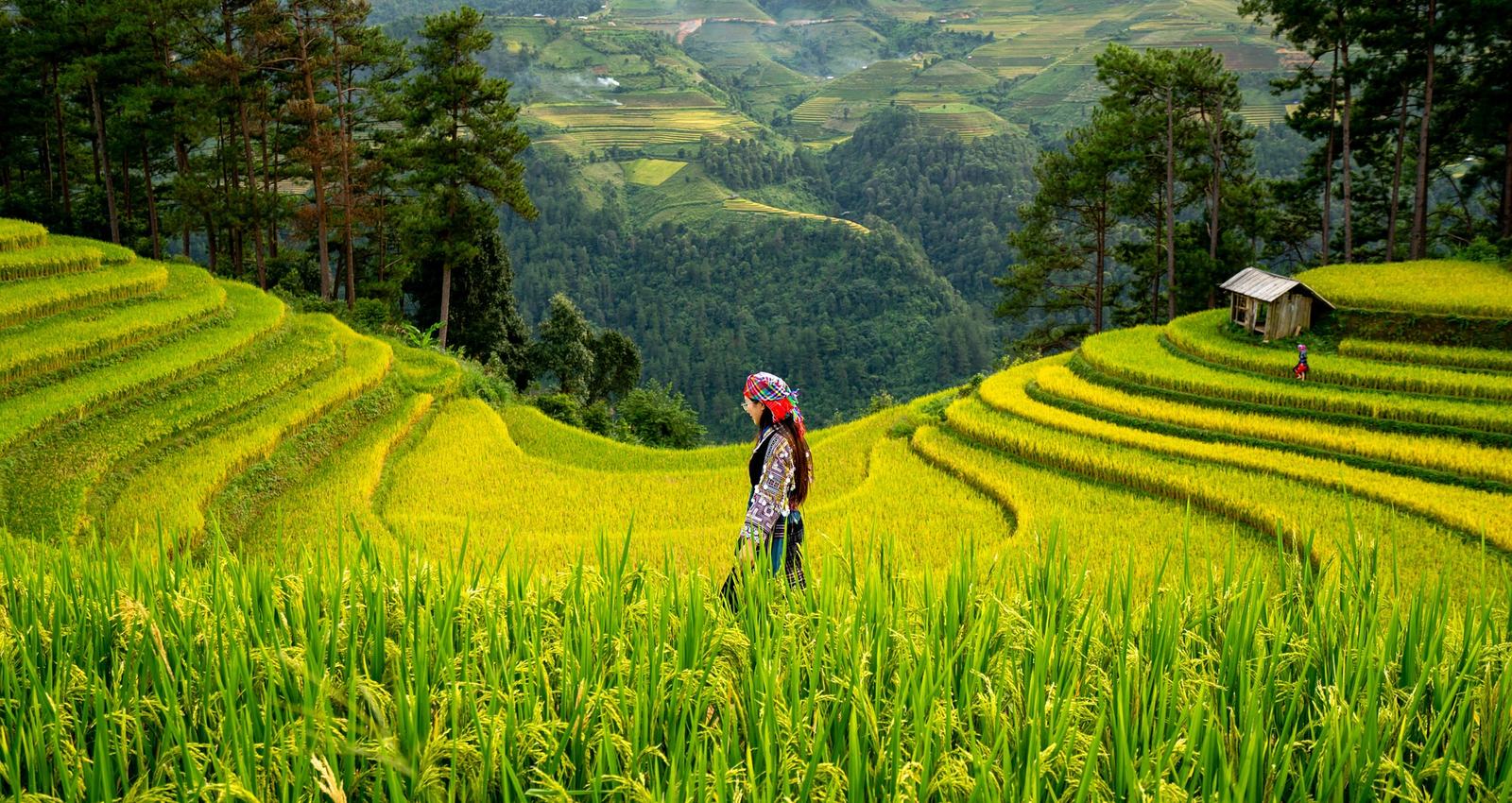 Echappée belle à Bali