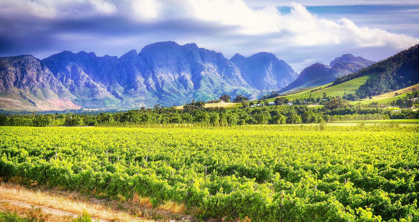 Afrique du Sud
