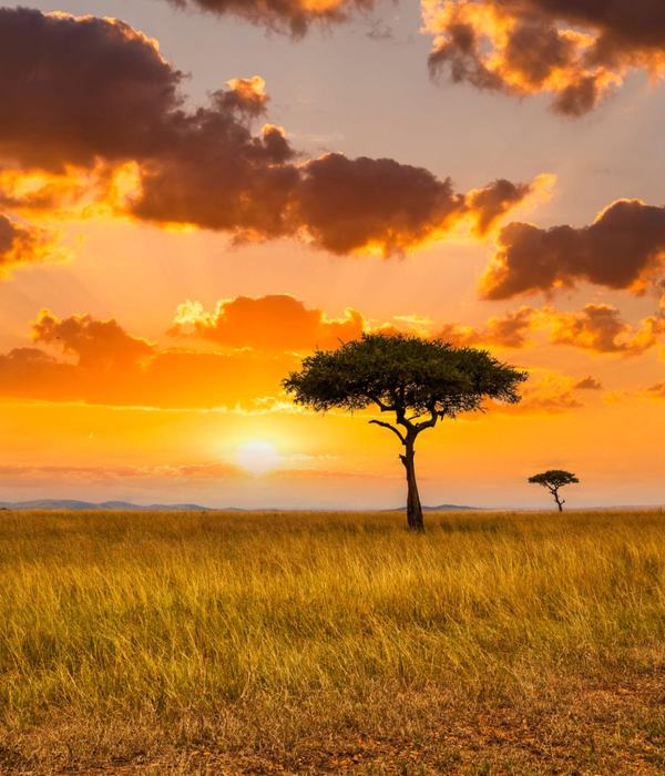 Kenya