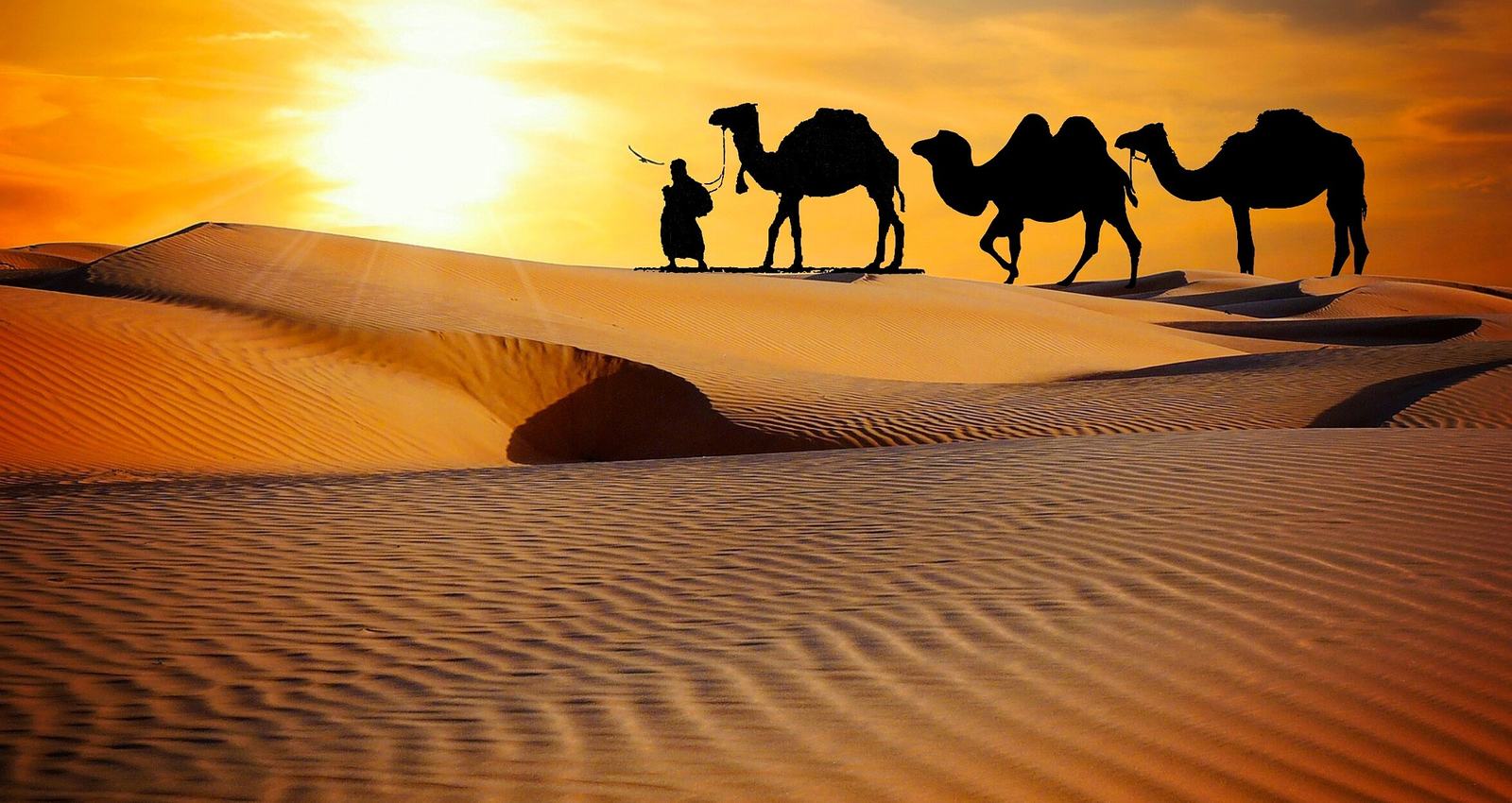 Découverte du Rajasthan