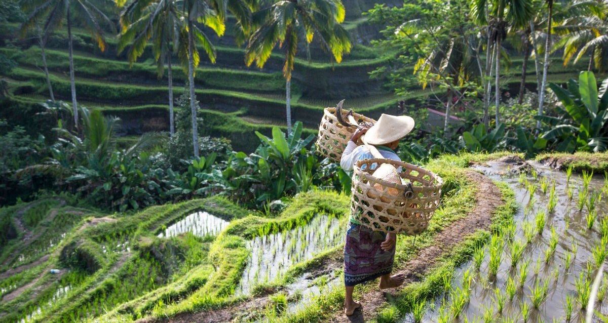 Echappée belle à Bali