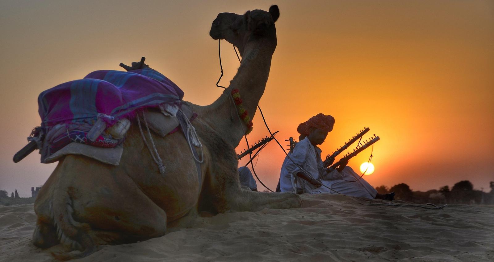 Découverte du Rajasthan