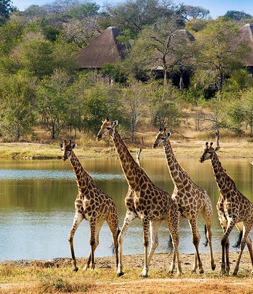 Afrique du Sud